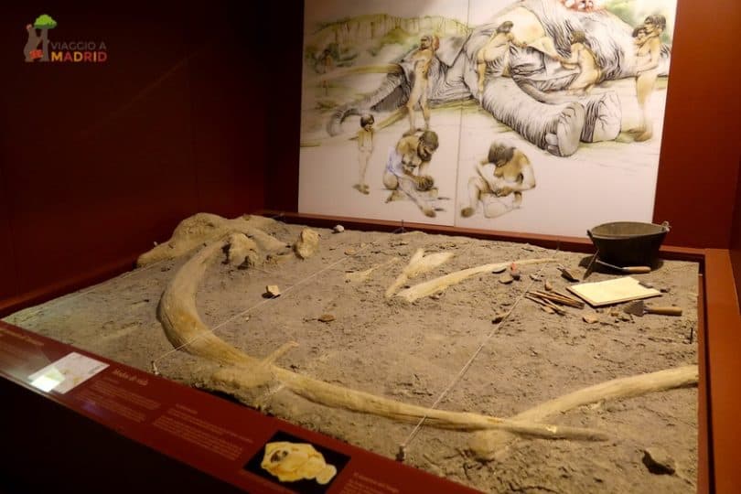 Alcalà de Henaes - Museo archeologico regionale 01
