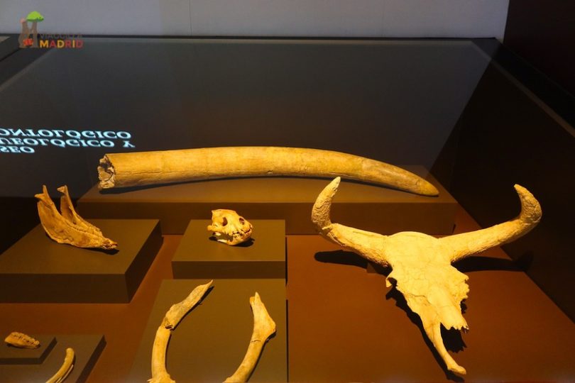 Museo archeologico regionale 02